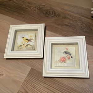 Vintage bird pictures